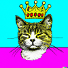 Blind Cat 9