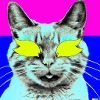 Blind Cat 6