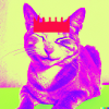 Blind Cat 4