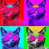 Blind Cat 2