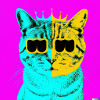 Blind Cat 7