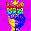 Blind Cat 5