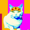 Blind Cat 8