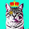 Blind Cat 10