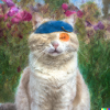 Blind Cat 18