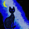 Blind Cat 25