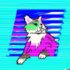 Blind Cat 29