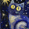 Blind Cat 24