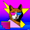 Blind Cat 31