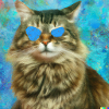 Blind Cat 19