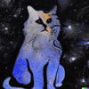 Blind Cat 26