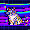 Blind Cat 28