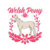 Verrücktes Welsh Pony Mädchen