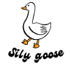 Sily goose