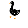 Sily goose