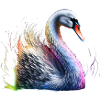 MAJESTÄTISCHER SCHWAN