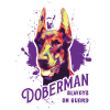 Dobermann immer auf der Hut