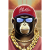 Cool monkey with sunglasses