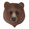 Grizzlybär Portrait