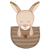 Cute Kangaroo Pouch Kangaroos