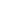 Beautiful horse