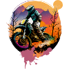 Motorcross
