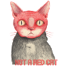 Keine rote Katze