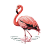 Pink Flamingo