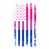 Bisexual Pride Flag Gift