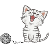 Chat mignon