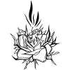Flower // Candle // Illustration