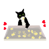 jigsaw puzzles and cats
