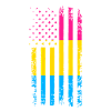 Pansexual Flag Pride