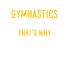 Gymnastics Trainer Gymnastics Trainer