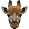 Polygon Giraffe
