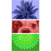 Triptych Palm Tree – Dog – Spikes