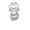 Côte d’Ivoire - Chimpanzés
