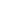 Beautiful stylish fox