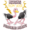 Ramo divertido Bird-Strauss Solución del problema cómico