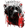 Labrador