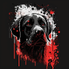 Labrador