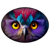 Rainbow Owl