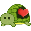A heart for turtles