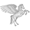 Pegasus