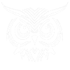 Owl Owls