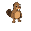 Funny Beaver