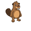 Respect The Beaver