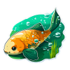 Carp for children