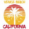 California Venice Beach Palm Ocean Surf