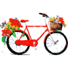 Red Bicycle with Flower Basket